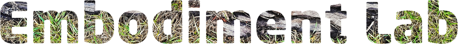 Panomitrius Bricks Starter Setup logo